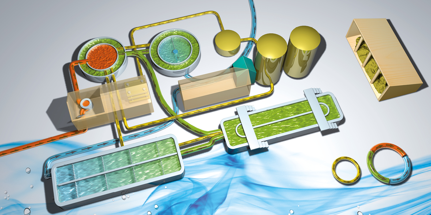 Reinhaltungsverband Mondsee-Irrsee